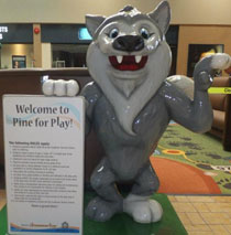 Pine Centre Mall hired PLAYTIME to create a soft play area.